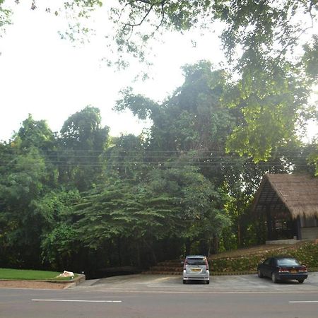 Ella Jungle Inn Kahatamaditta المظهر الخارجي الصورة