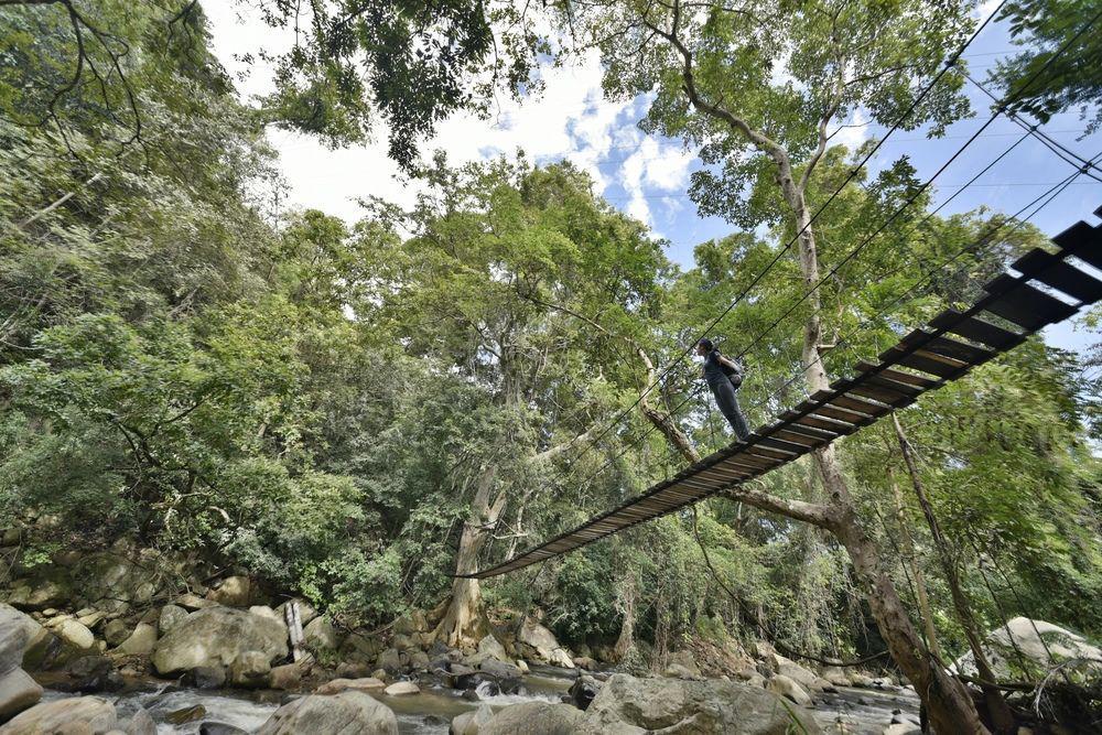 Ella Jungle Inn Kahatamaditta المظهر الخارجي الصورة