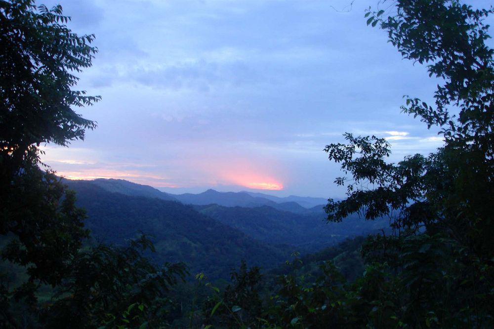 Ella Jungle Inn Kahatamaditta المظهر الخارجي الصورة