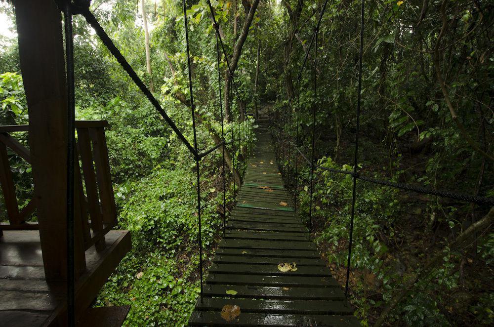 Ella Jungle Inn Kahatamaditta المظهر الخارجي الصورة