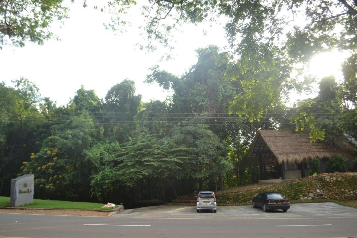 Ella Jungle Inn Kahatamaditta المظهر الخارجي الصورة